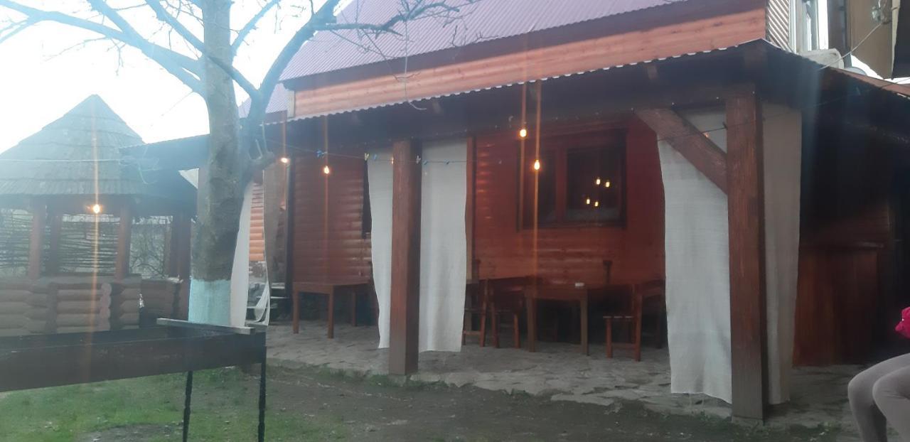 Готель Людмила Synevyr Bagian luar foto