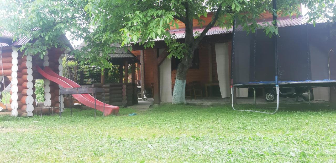Готель Людмила Synevyr Bagian luar foto