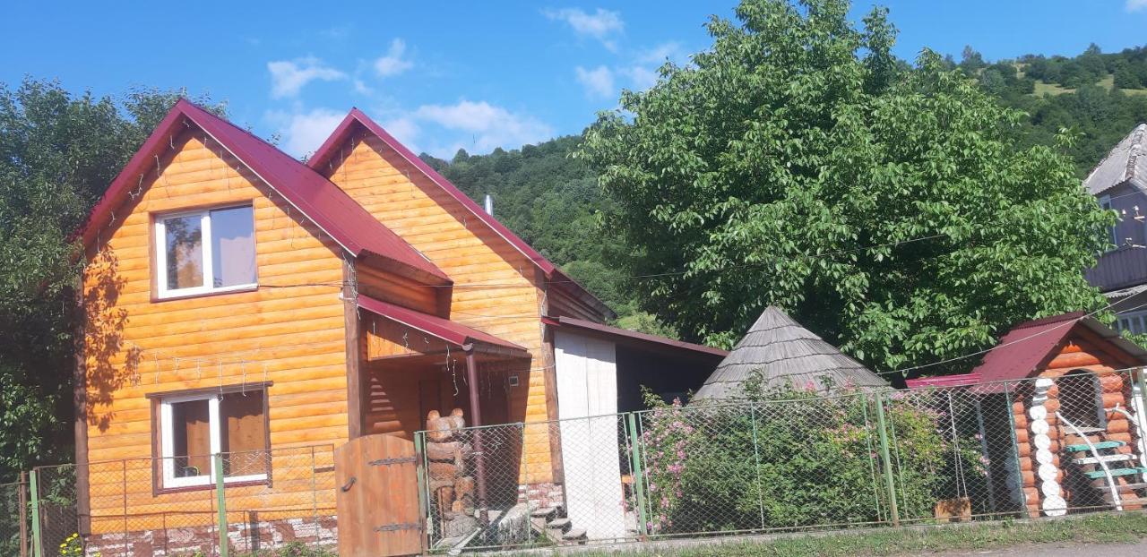 Готель Людмила Synevyr Bagian luar foto