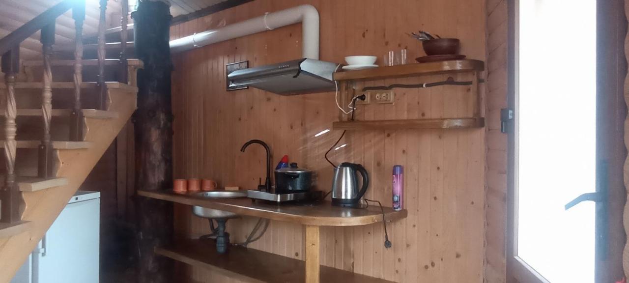 Готель Людмила Synevyr Bagian luar foto