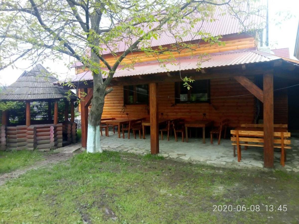 Готель Людмила Synevyr Bagian luar foto