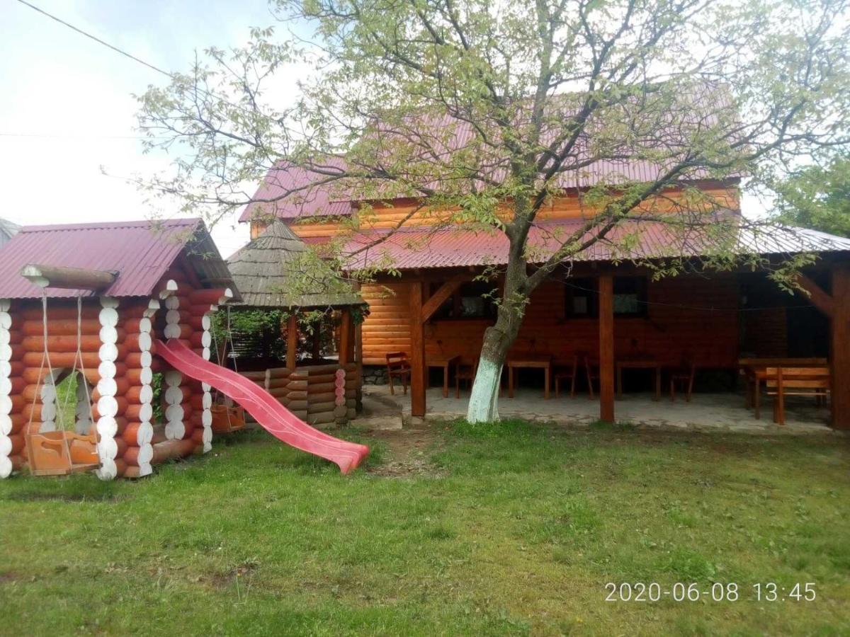 Готель Людмила Synevyr Bagian luar foto